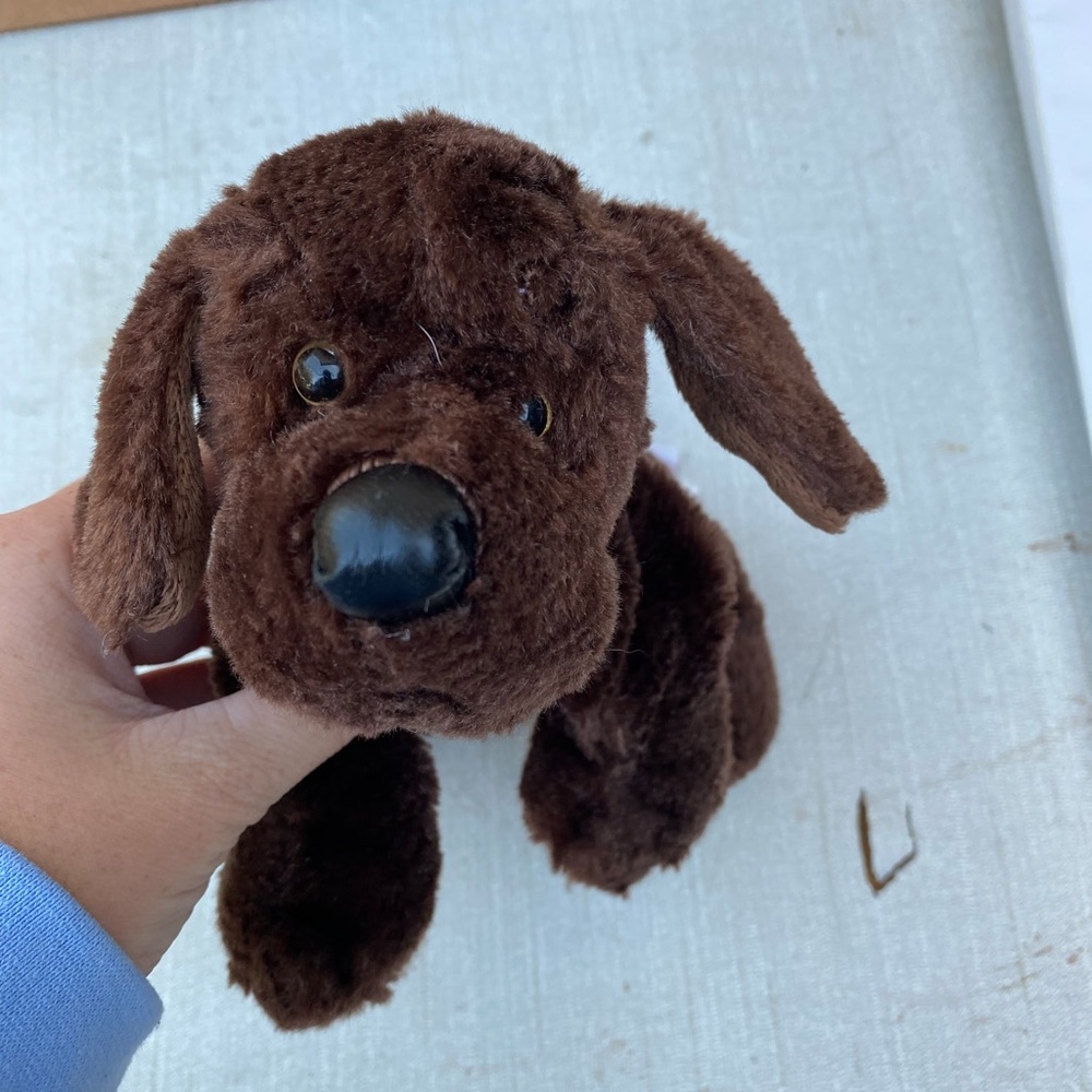 Chocolate lab Webkinz, no code